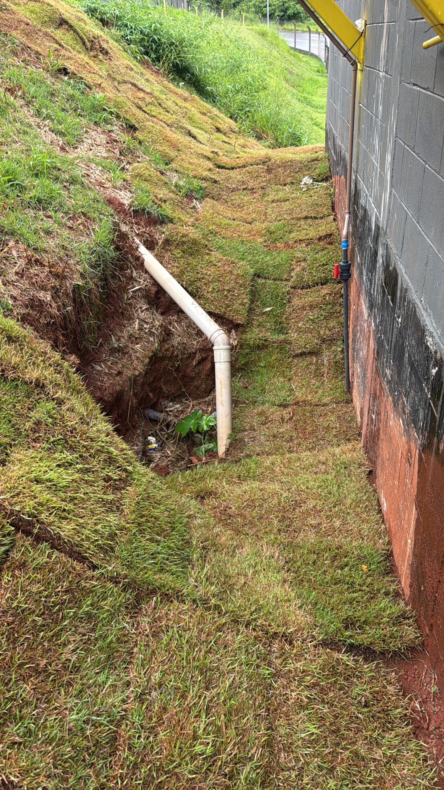 58B60588-DFD6-4E0B-8DE1-602CF09017B5