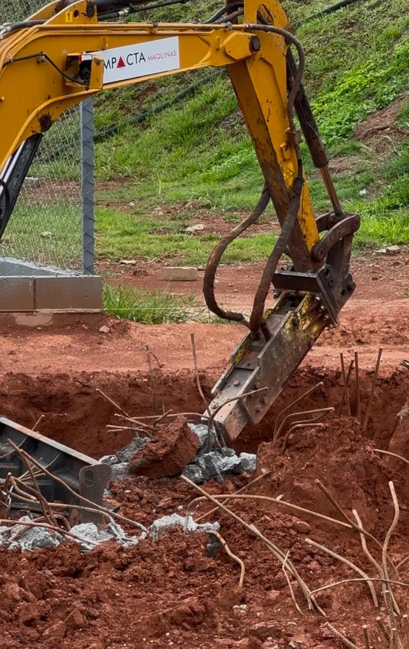 WhatsApp Image 2026-01-19 at 16.5dassaz1.41