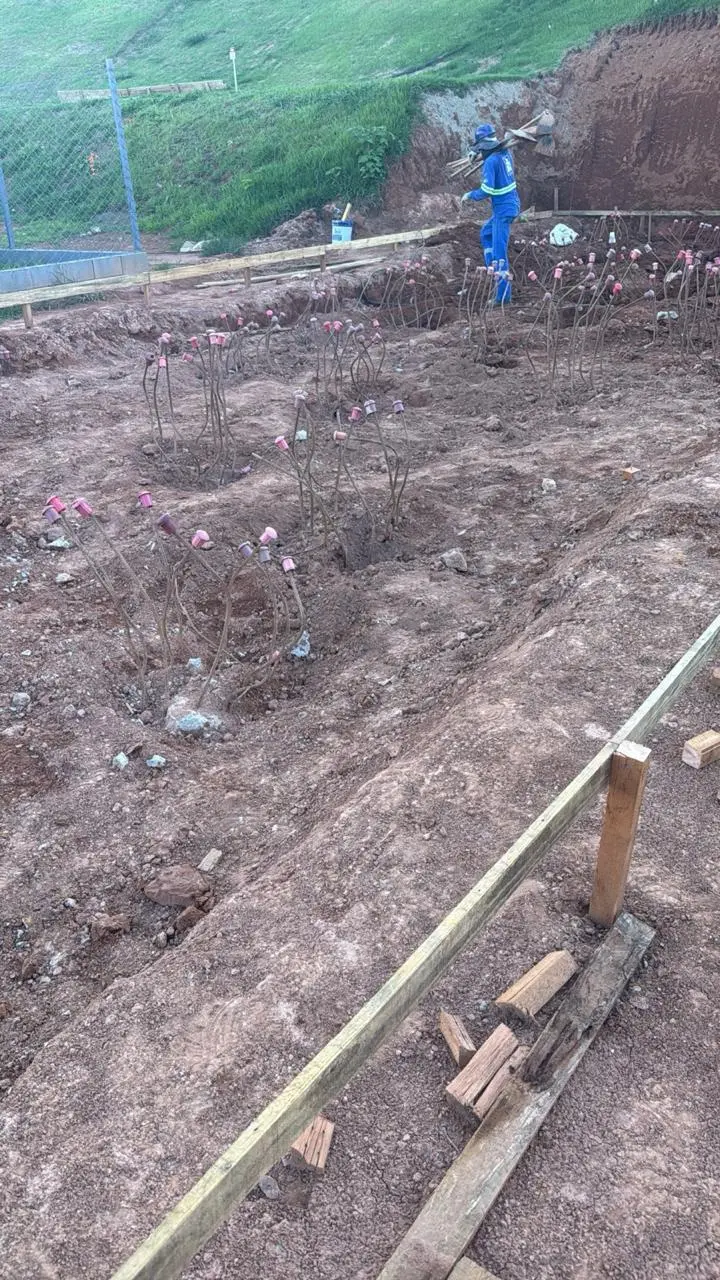 WhatsApp Image 202dasd6-01-19 at 16.51.41